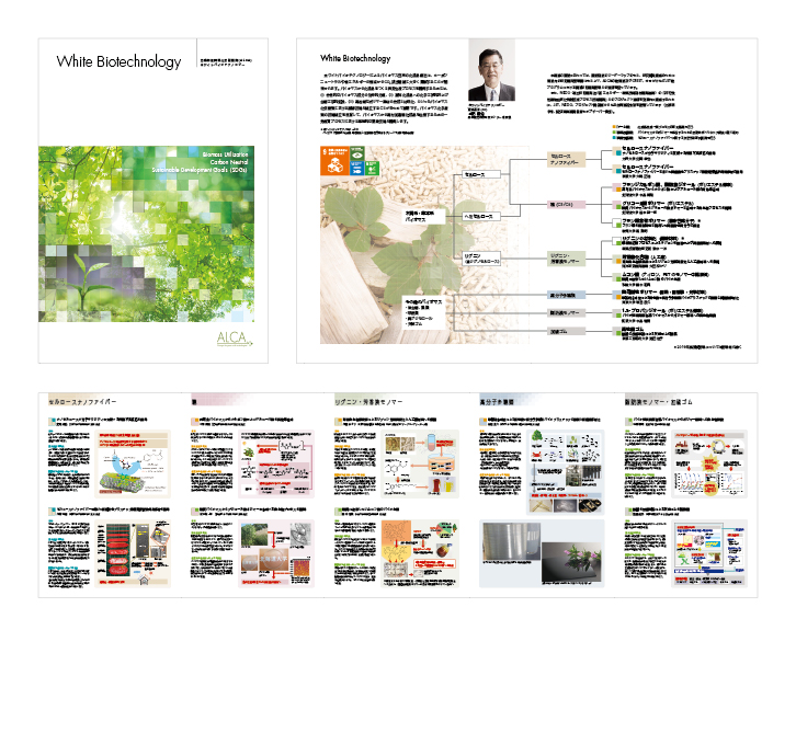 ホワイトバイオテクノロジーパンフ