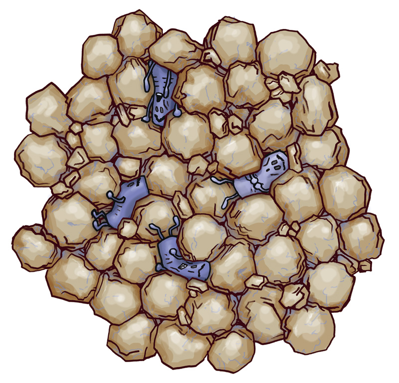海底下生命圏イラスト