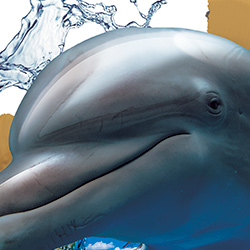 トリックアート