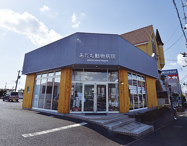 あだち動物病院