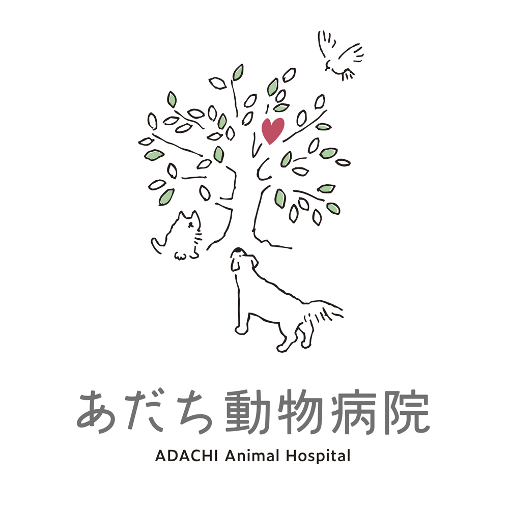 あだち動物病院